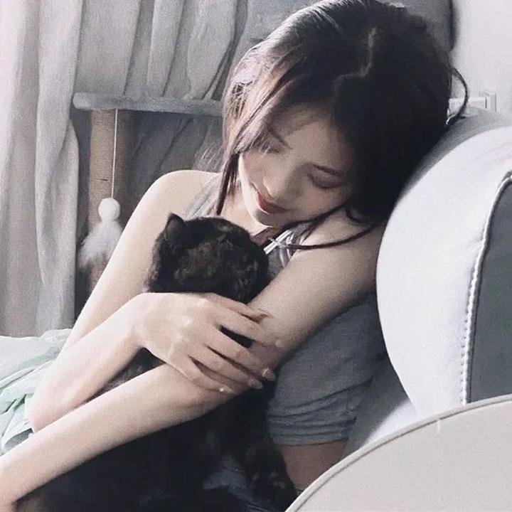 狂欢三宝