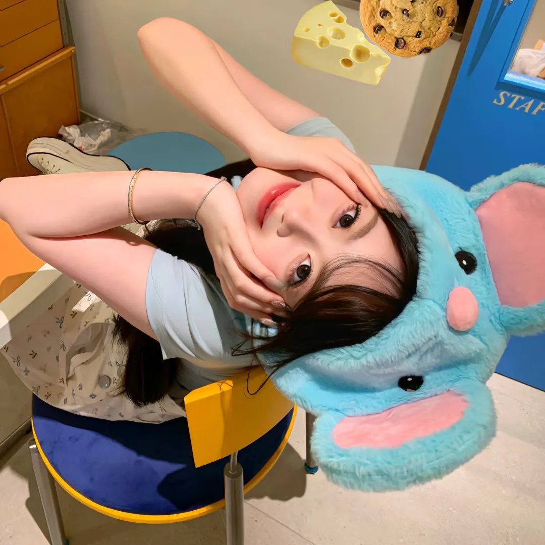 老鼠开会